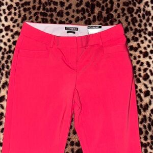 Express Vibrant Pink Trousers